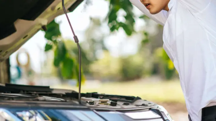 Foto: Especial / EXPRESO.