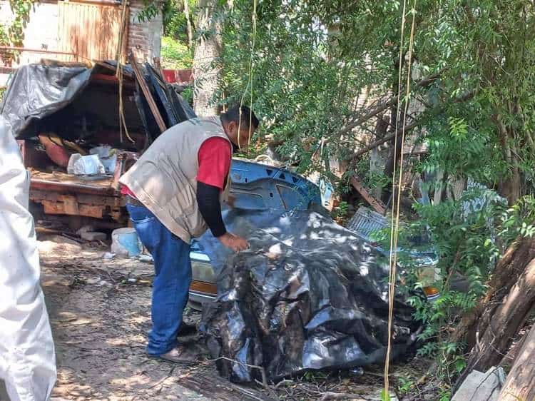 ¡No son ladrones! Marcan casas al sur de Sonora en estrategia contra dengue
