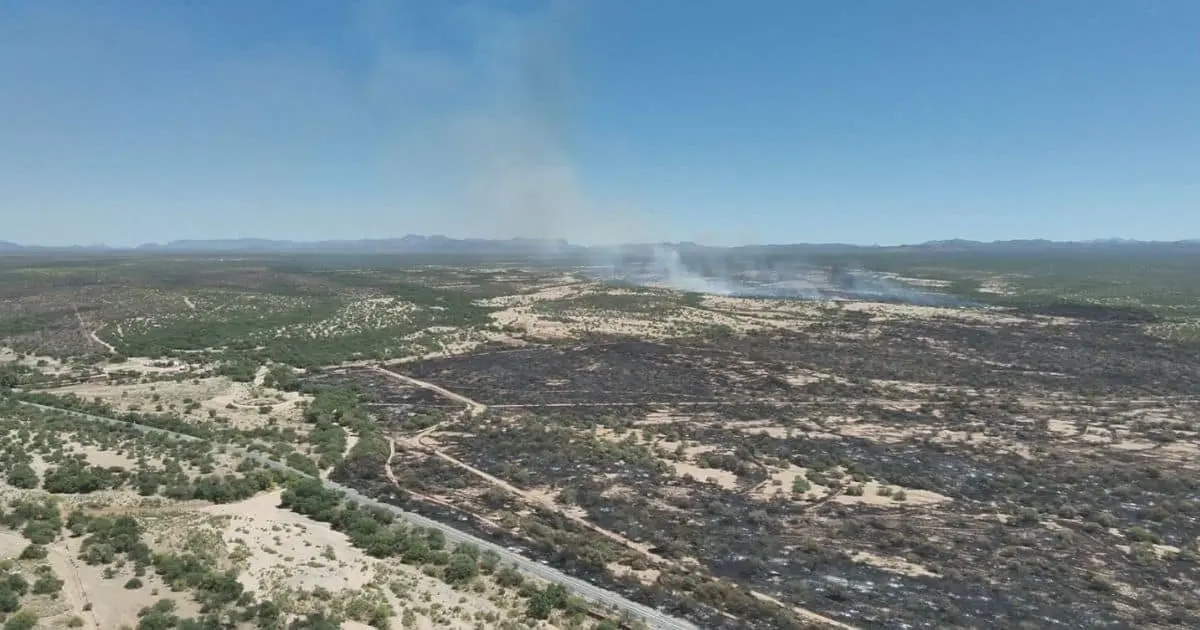 Combaten tres incendios forestales en la sierra de Sonora