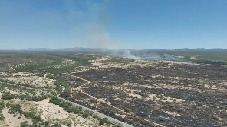 Los incendios se ubican en Sahuaripa, Quiriego y Opodepe. (Foto: Twitter / @cepcsonora)