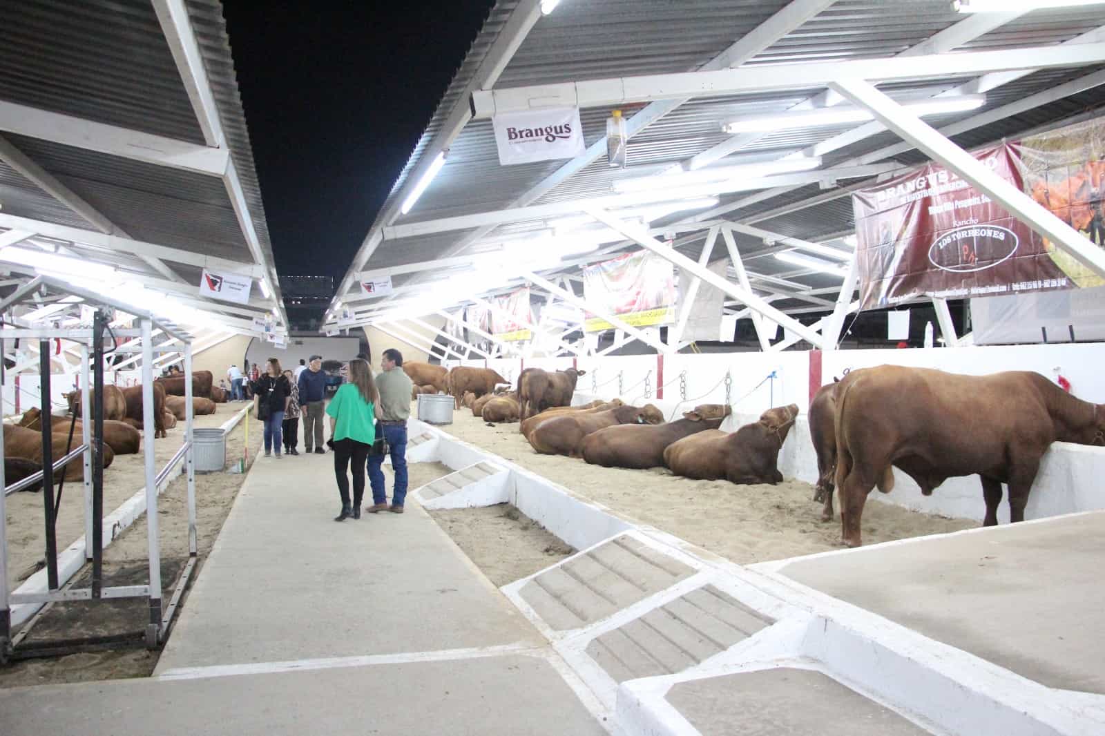 Familias se divierten en la ExpoGan 2023
