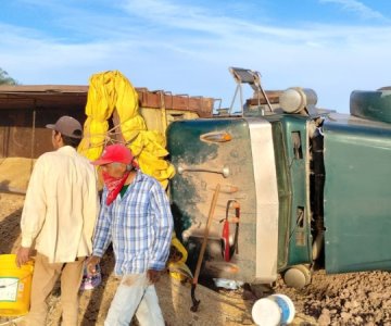 Vuelca camión con 20 toneladas de trigo: fue mala maniobra