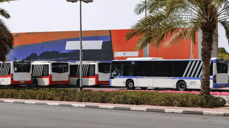 Una línea de transporte está siendo investigada. (Foto: Ilustrativa/Freepik)