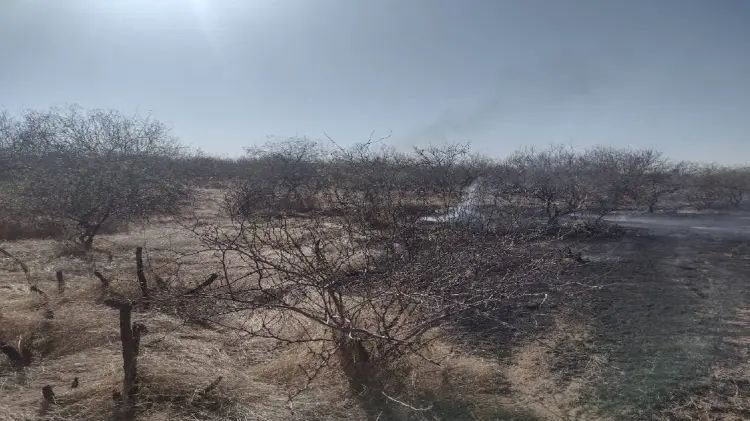 Bomberos sofocan 5 incendios en 24 horas, en Navojoa (Foto: John Castellón/EXPRESO)