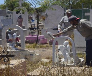 Vectores aplican larvicidas para moscos transmisores de dengue en Navojoa