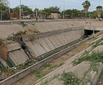 Está repleto de moscos; piden limpieza del canal del Dren en Navojoa