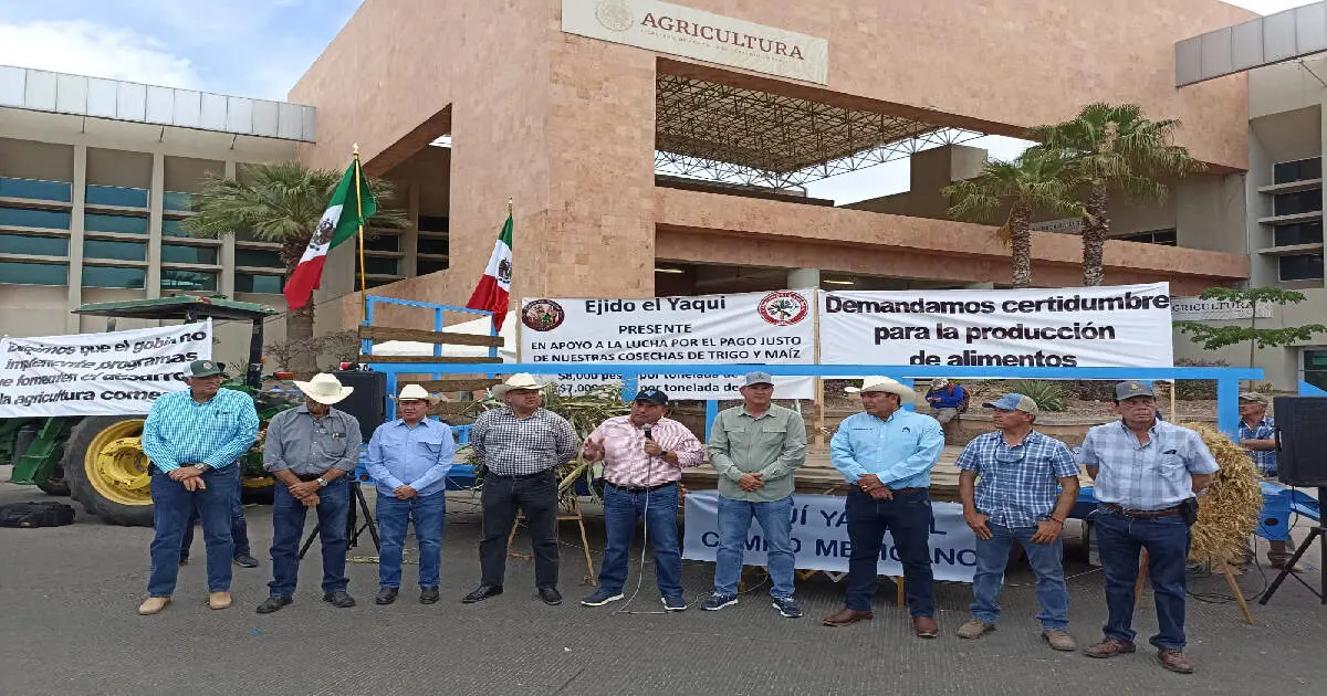 Gobierno Federal ofrece 600 pesos más por tonelada de trigo cristalino