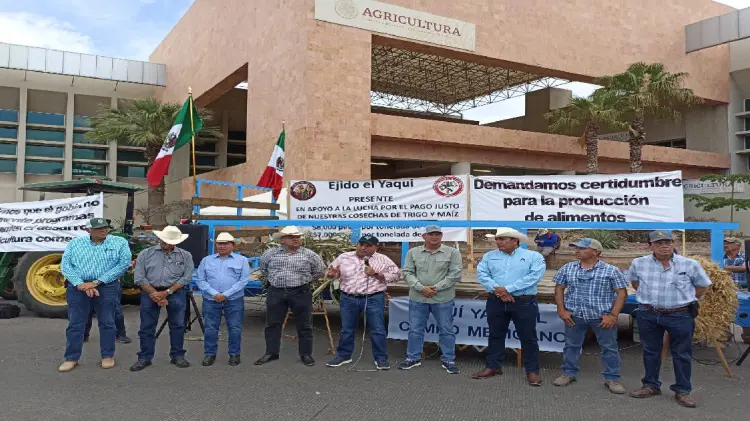productores del sur de Sonora  tomarán instalaciones de la Sader (Foto: Ana Camargo/EXPRESO)