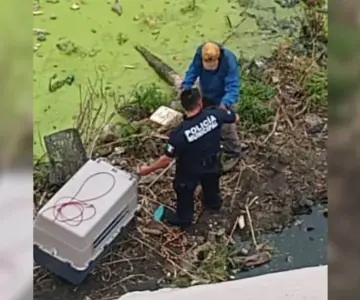 Personal de Unepa rescata dos perros del vertedor de la presa ALR
