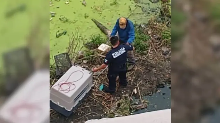 Unepa rescató dos perros en el fondo del vertedor de la presa ALR (Foto:Especial/EXPRESO)