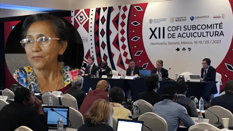 Ramona Chi Cahún habló acerca de la importancia de la participación femenina. (Foto: J. Ballesteros)