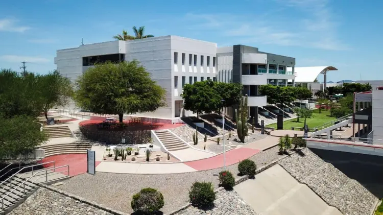 (Foto: Tecnológico de Monterrey)