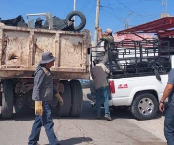 Intensificarán campaña contra el mosco transmisor del dengue en Navojoa