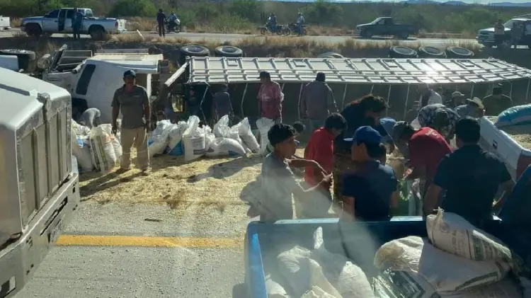 Se vuelca tráiler cargado de maíz en Mochis-Navojoa; hacen rapiña (Foto:Especial/EXPRESO)
