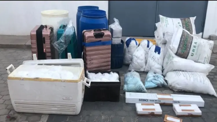 Ejército y FGR aseguran más de 900 kg de droga en Baja California (Foto:Especial/EXPRESO)