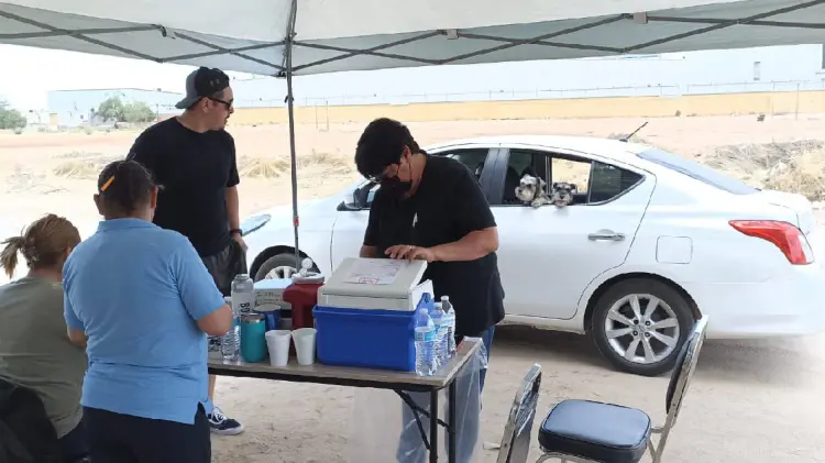 Centro de Salud vacuna 80 perros por Drive thru en Floresta (Foto:Especial/EXPRESO)