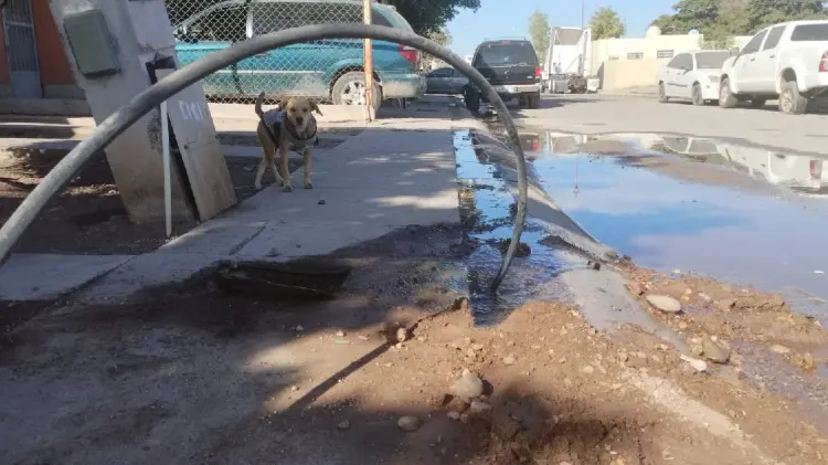 Detecta Oomapasn tomas clandestinas de agua en Navojoa (Foto: John Castellón/EXPRESO)