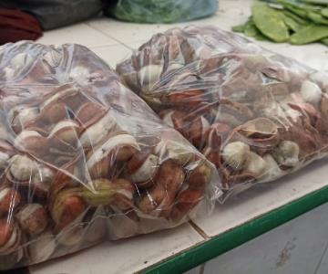 Llegaron los guamúchiles al mercado municipal de Navojoa