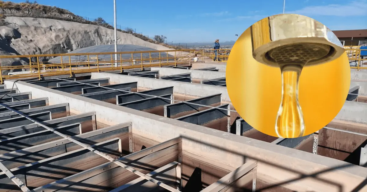 ¡No te quedes sin agua! Más de 100 colonias tendrán servicio por horas