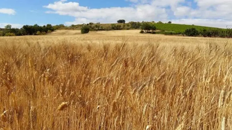 Foto: Especial / EXPRESO.