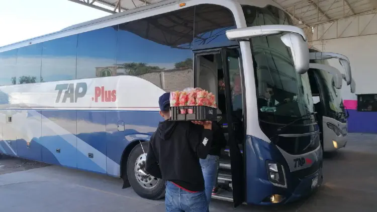 Buscan construir central camionera en Navojoa (Foto:Especial/EXPRESO)