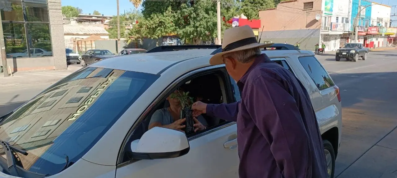 El Cachi Corrales dona plantas a nogalenses para fomentar huertos urbanos
