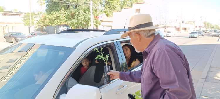 El Cachi Corrales dona plantas a nogalenses para fomentar huertos urbanos