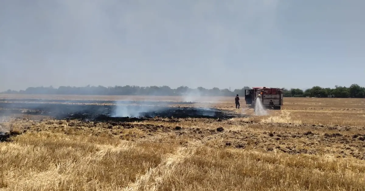 Queman más de 40 hectáreas de gavilla en la colonia Soto de Etchojoa