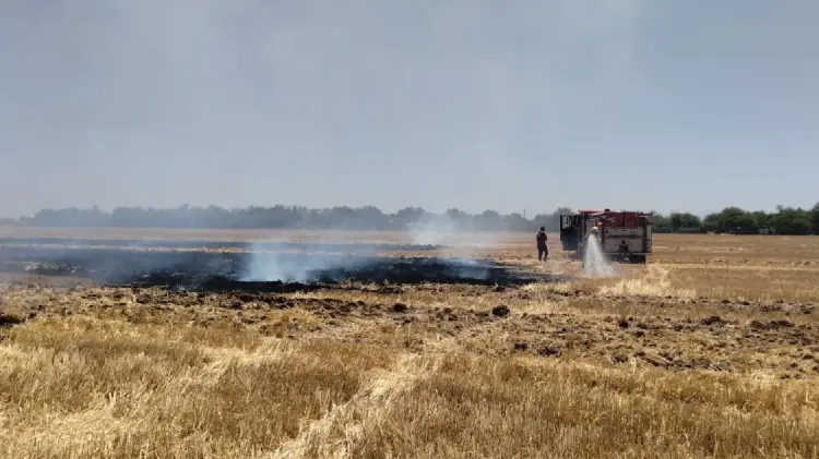Bomberos sofocan incendio de 40 hectáreas de gavilla en Etchojoa (Foto:John Castellón/EXPRESO)