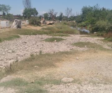 Peligra baño a San Juan Bautista; Río Mayo se empieza a secar