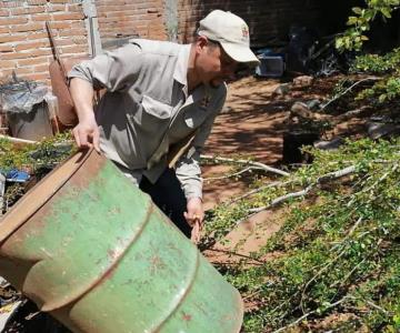 Alerta en Álamos por aumento de positividad de la larva del mosco