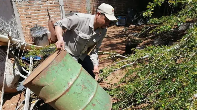 Foto: Especial / EXPRESO.