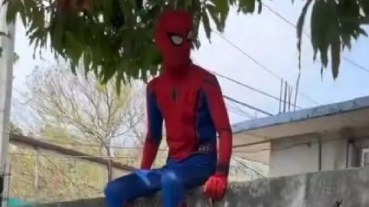 ¿Conoces a Spiterman? El héroe más viral de TikTok (Foto:Especial/EXPRESO)