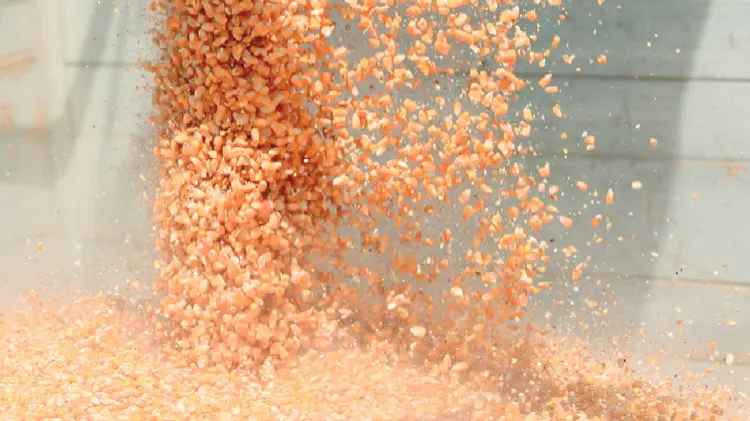 Foto: Especial / EXPRESO.