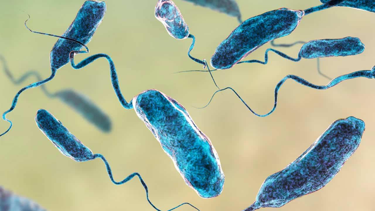 ¿Qué es Klebsiella oxytoca? Bacteria que tiene en jaque al Estado de México