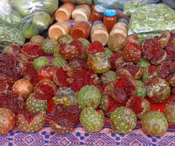 ¡Llegó la pitaya a Navojoa! La fruta de temporada más esperada