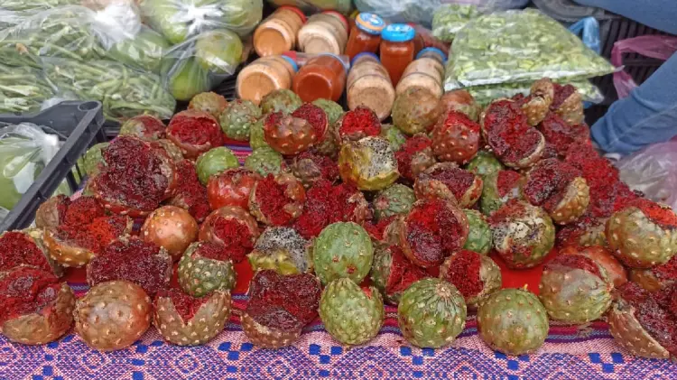 Llegó la pitaya al centro de Navojoa (Foto:John Castellón/EXPRESO)