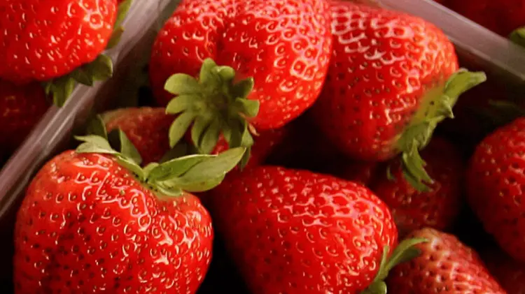 Alertan por fresas con hepatitis A. (Foto: Ilustrativa / EXPRESO)