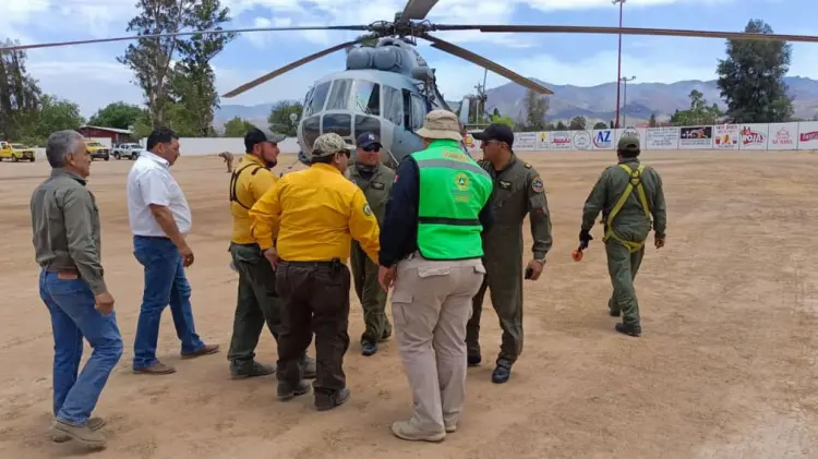 Foto: Especial / EXPRESO.