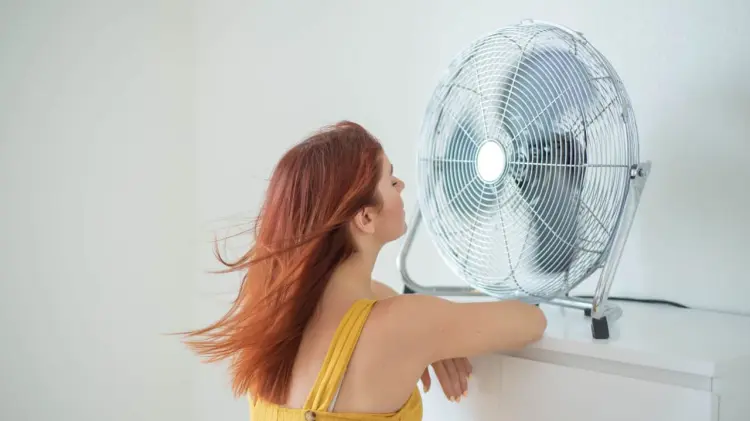 Los mejores ventiladores para esta ola de calor según la Profeco (Foto: Especial / EXPRESO)