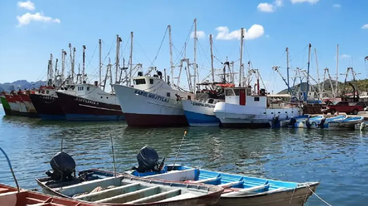Suman esfuerzos municipios costeros de Sonora (Foto: Especial / EXPRESO)