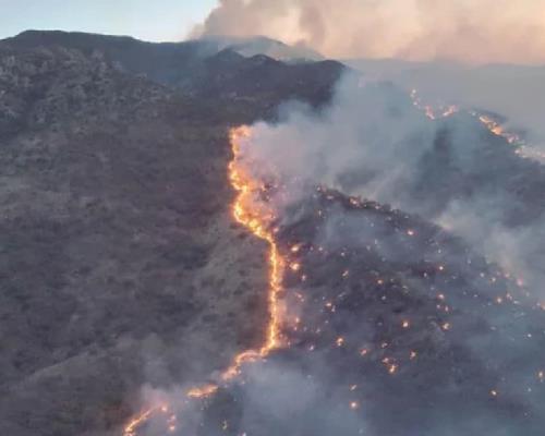 Incendio en Ímuris consume rancherías, flora y fauna a su paso