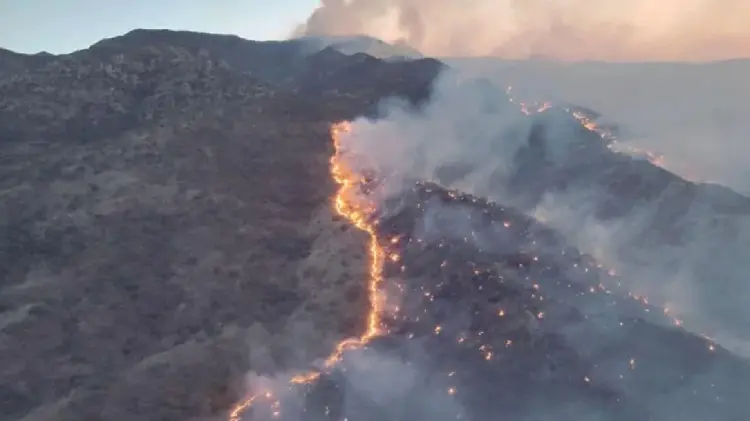 Incendio en la sierra Los Gavilanes en Ímuris (Foto: Especial / EXPRESO)