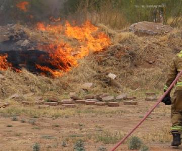 Bomberos atienden alrededor de 7 incendios de maleza diarios