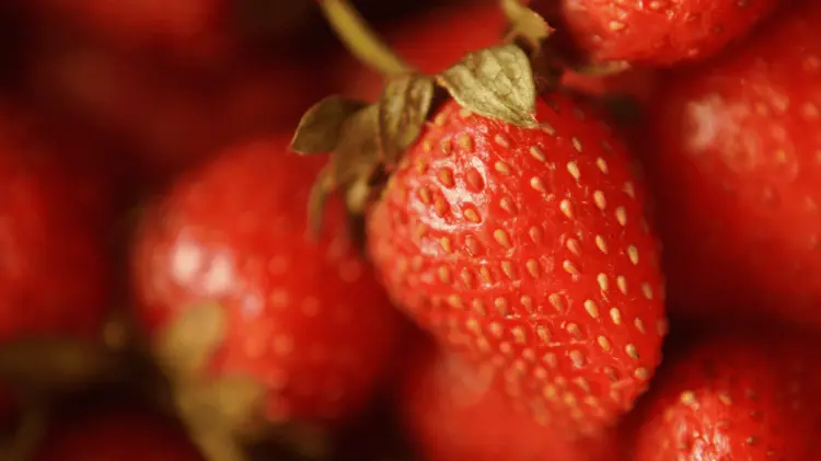 FDA podría congelar exportaciones de berries. (Foto: Especial/EXPRESO)
