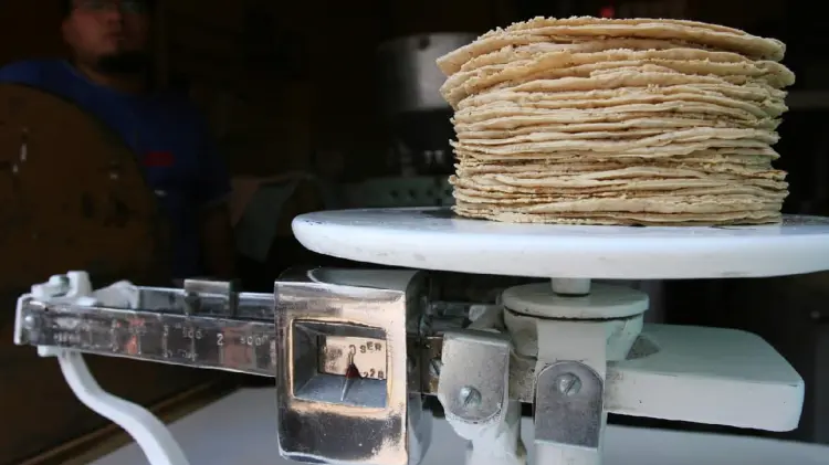 Prohibirán maíz transgénico en tortillas (Foto: Agencia Reforma / EXPRESO)