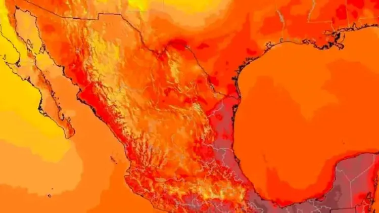 Foto: Especial / EXPRESO.