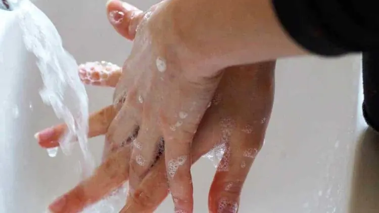 Foto: Especial / EXPRESO.