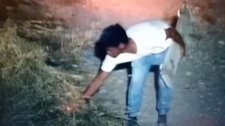 Foto: Especial / EXPRESO.