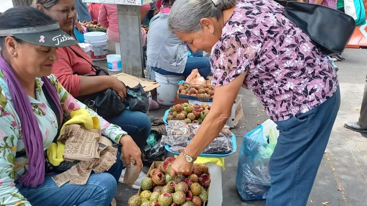 Periodo de graduaciones afecta la venta de pitaya en Hermosillo